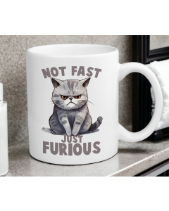 Not fast furious