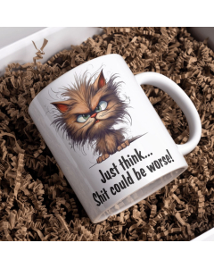 Funny grumpy cat mug with just think it could be worse quote in gift box