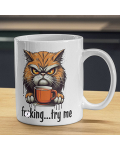 funny grumpy cat mug with cheeky quote and coffee cup